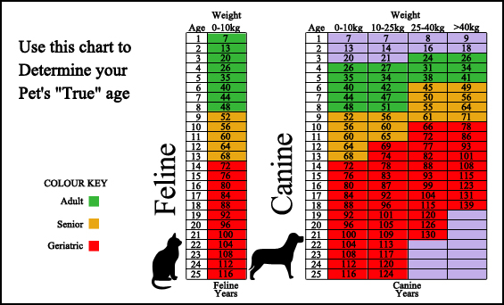 Cottage Grove Veterinary Clinic - Surveillance Screening