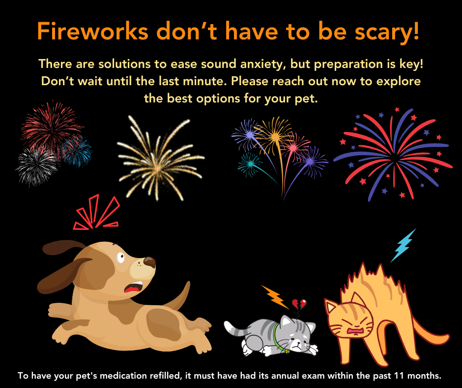 fireworks promo cgvet