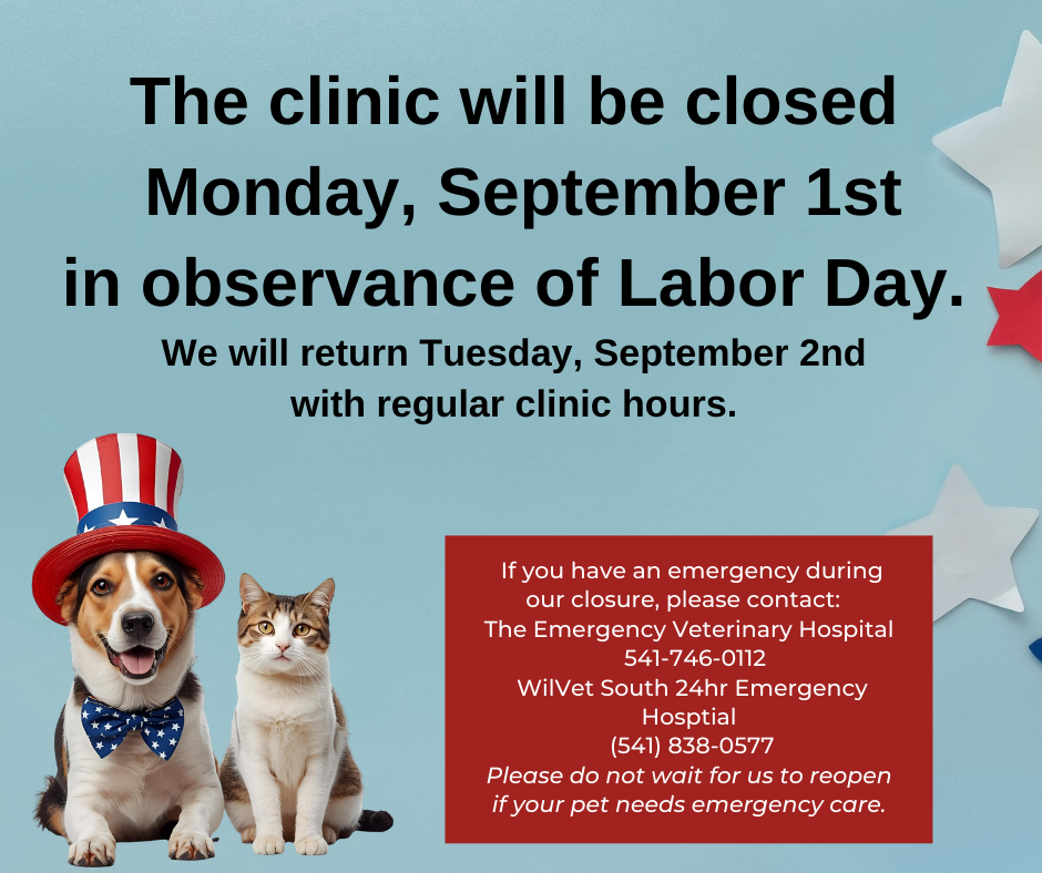 labor day closure canva