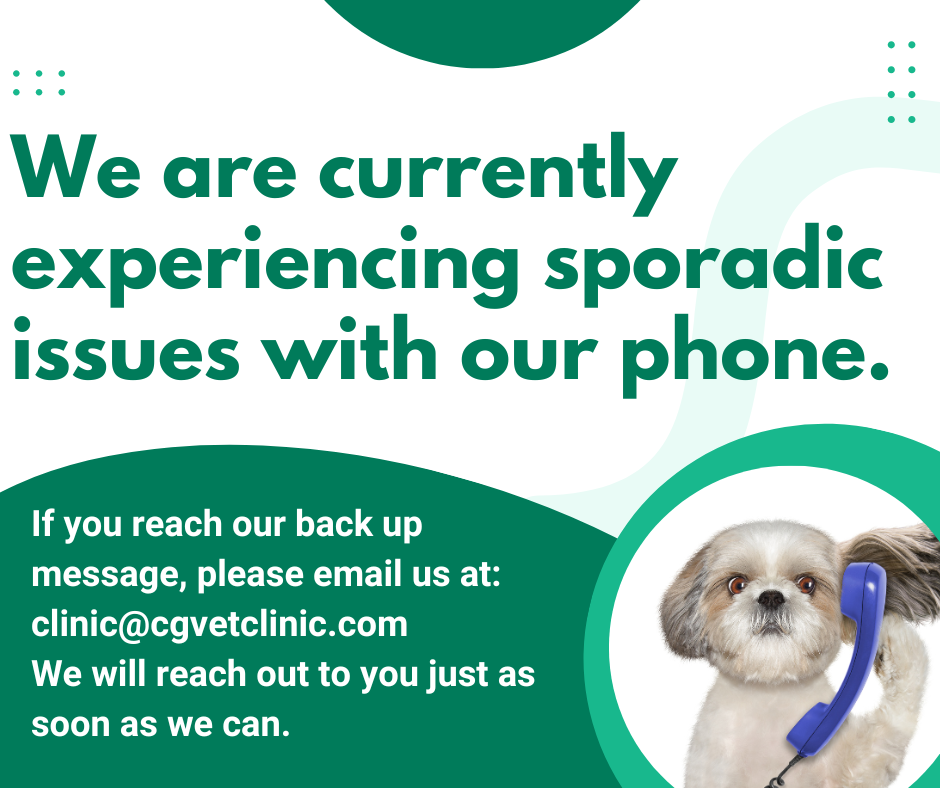 phone not working